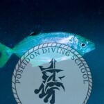 Fish Poseidon Diving club