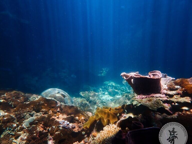 Poseidon Diving