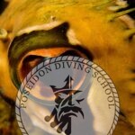 Fish eyes Poseidon diving club